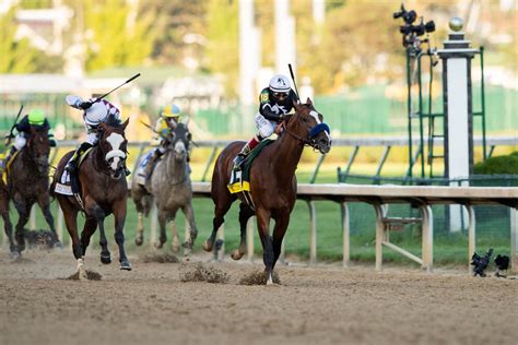 THE BEST Illinois Horse Tracks (Updated 2024) .